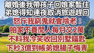 離婚後我帶孩子回娘家暫住，弟媳得知連夜取消旅遊趕回，怒斥我窮鬼就會啃老：咱家不養閒人每月交2萬，不料我冷笑收回別墅鑰匙，下秒3億股票到帳弟媳腸子悔青。#家庭#中老年生活#中老年#深夜故事【孤燈伴長情】