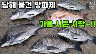 남해 물건방파제 - 가을 시즌이 시작되다. 고등어 없이 사이즈 좋은 감성돔만 바글바글합니다.  쉽게 손맛 볼 수 있는 절호의 찬스~!!