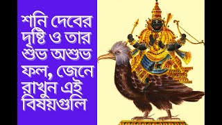 শনি দেবের দৃষ্টি ও তার শুভ অশুভ ফল, জেনে রাখুন এই বিষয়গুলি...