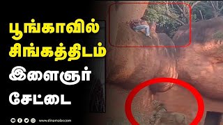 பூங்காவில் சிங்கத்திடம் இளைஞர்  சேட்டை! | man vs lion