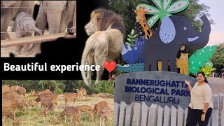 Must visit ✨ Bannerughatta Zoo ✨🙆 par ek galti hogayi 🥺😵‍💫#bangalorevlog #bannerughattazoo  #animals