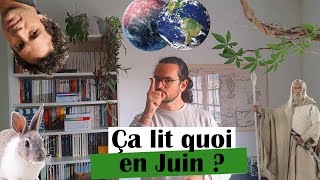 J. R. R. TOLKIEN, Eric-Emmanuel SCHMITT, Dennis LEHANE et d'autres : qu'est-ce que j'ai lu en Juin ?