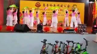 扇子舞～～南泥湾～～ perform by Jane \u0026 Students 开心舞蹈组