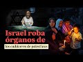 Israel roba órganos de los cadáveres de palestinos