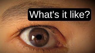 See through My Eyes | A Low Vision Simulation