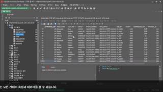 SQLGate Features - Object Explorer