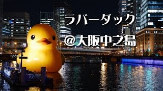 Rubber Duck in Nakanoshima Osaka