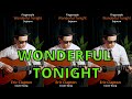 Wonderful Tonight - Fingerstyle Guitar Cover