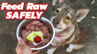 How to Feed Raw Dog Food SAFELY!