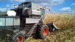 Gleaner F2 Corn