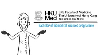 HKUMed BBiomedSc Curriculum Explained