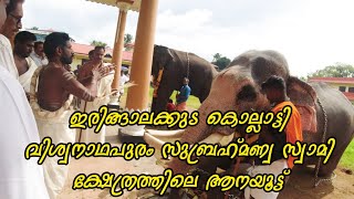 ആനയൂട്ട് | Irinjalakuda Kollatti viswanathapuran subrahmanya swami temple Aanayutt 2022| thrissur