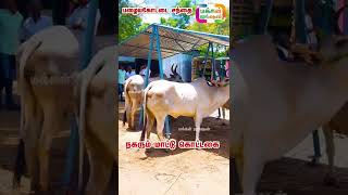 நகரும் மாட்டு கொட்டகை , PORTABLE MOVABLE FOLDABLE COW SHED , #movablecowshed , #shorts PART 1