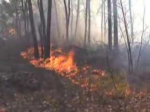 Milford, Ma Brush Fire - YouTube