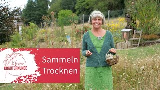 Kleine Kräuterkunde: Sammeln \u0026 Trocknen | Ruth Pfennighaus