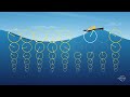 Oceanography: How wave orbital velocities attenuate with depth