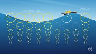 Oceanography: How wave orbital velocities attenuate with depth
