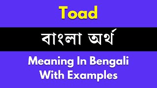 Toad Meaning in Bengali / Toad শব্দের বাংলা ভাষায় অর্থ অথবা মানে কি