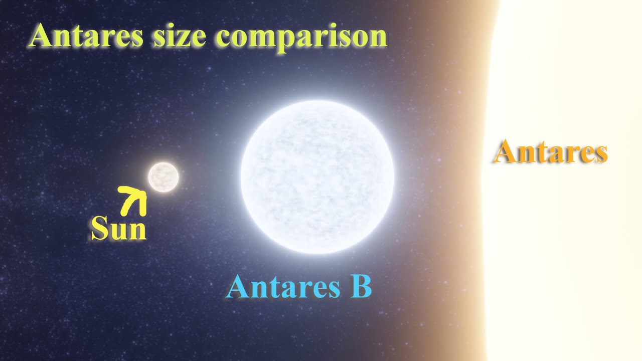 Antares | Antares B | Sun Size Comparison - YouTube