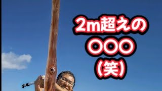 2022/10/01  泳がせが五目釣りになった日  (愛海丸)