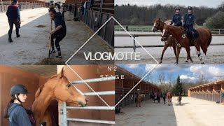 [ VlogMotte n°2 ] Plat, Interview et mini RoomTour