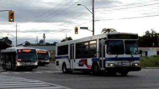 Grand River Transit buses