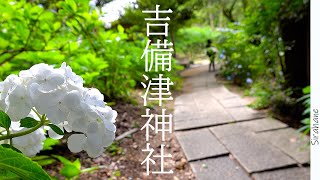 【vlog】吉備津神社の紫陽花と吉備津駅/休日のすごし方