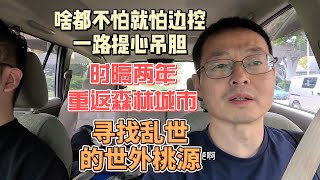 啥都不怕就怕边控 一路提心吊胆|新加坡果然名不虚传|时隔两年重返森林城市 寻找乱世的世外桃源