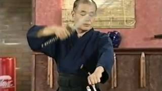 Introduction to Iaido, part 4  Swinging the sword