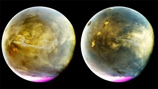 Mars in ultraviolet seen by MAVEN