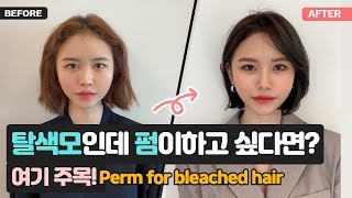 [Eng]탈색모인데 파마가 하고싶다면,?여기주목!(차홍아르더 korean hairstyle)