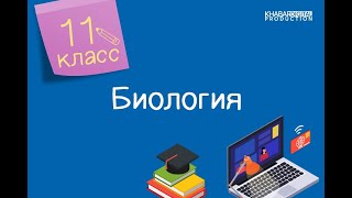 Биология. 11 класс. Решение экологических задач и экологических ситуаций /16.04.2021/