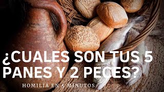 Cuales son TUS 5 panes y 2 peces || Homilía en 5 minutos #6 IAC