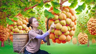 Forest Life | Harvesting Cupuacu Fruit to sell | The fruit grows mainly in Amazon tropical forest