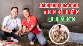 Cách Nuôi Cua Đồng Trong Bể Xi Măng - Mô Hình Nuôi Cua Đồng Mới, Làm Chơi Ăn Thật || LamNongTV