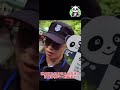 福寶外場折疊椅掉落事件，神樹坪的懲處出來了 panda 푸바오 fubao 福寶 福宝 熊貓 貓熊 神樹坪