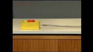 Stick and Slip Motion