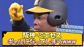 【愛されキャラ】阪神・ミエセス ギャルになってしまうwww【なんJ 反応 まとめ】【プロ野球ニュース】