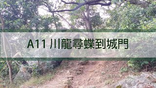 行山樂路線簡介及縮時影片 - A11 川龍尋蝶到城門