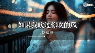 赵薇薇 - 如果我吹过你吹的风「这样我们算不算相拥」【🎧AI高质音乐/拼音歌词 Eng Lyrics】