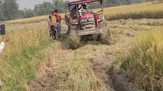 Amazing Mahindra Yuvo 575 4WD tractor in Muddy Field/Mahindra yuvo 575 4x4 in troli full load🥵🥵🥵