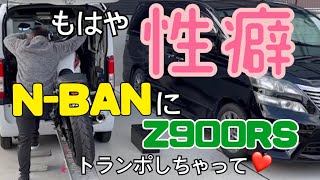 【モトブログ】もはや性癖!!N-VANにZ900RSトランポします!!#NVAN#KAWASAKI#Z900RS#トランポ#HONDA