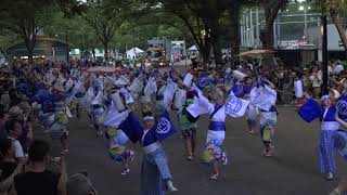 四国銀行 原宿表参道元気祭 スーパーよさこい 2019 NHK前ストリート [4K] 08.24