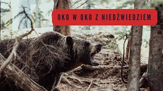 🐻 Oko w oko z drapieżnikiem - tragiczne historie ataków niedźwiedzi na turystów