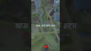 ভালোই যদি না লাগে মুখে বলে দাও বারবার call করি 🥺 Bangla kosto status 🥀 whatsappstatus #shorts #sad