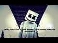 Never Forget You & Alone (Mashup) Zara Larsson & MNEK vs Marshmello