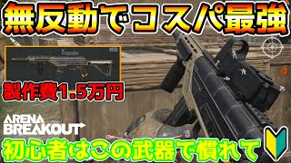 【アリーナブレイクアウト】初心者はコレで全ロスして！低予算で作れる猛者考案コスパ最強武器『QC61』がマジで全くブレない！！【arenabreakout】