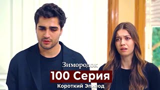 Зимородок 100 Cерия (Короткий Эпизод) (Русский дубляж)