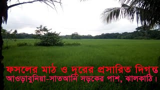 আওড়াবুনিয়া-সাতআনি, ঝালকাঠি; রাস্তার পাশের মনোমুগ্ধকর ফসলের মাঠ, দূরের প্রসারিত দিগন্ত ও বয়ে চলা নদী।