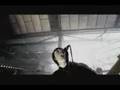 The Enemy - Away From Here (Transmission)